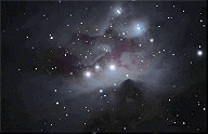 NGC 1977 (Running Man)